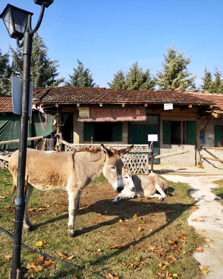 Etno Selo Timcevski Complex Vojnik 외부 사진